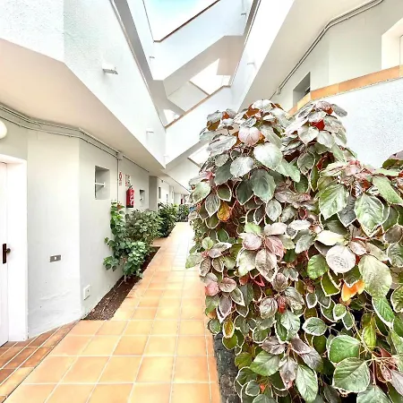 Daire Apartment Few Minutes From The Beach, Wifi,Pool In Los Cristianos, Tenerife South